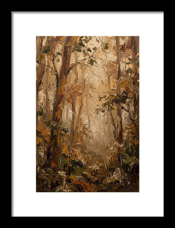 Humid Mist In Forest