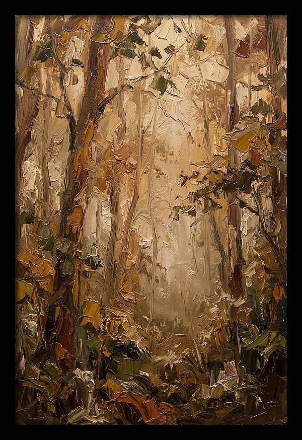 Humid Mist In Forest