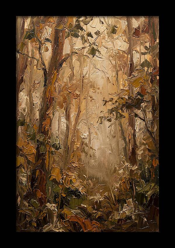 Humid Mist In Forest