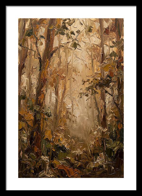 Humid Mist In Forest