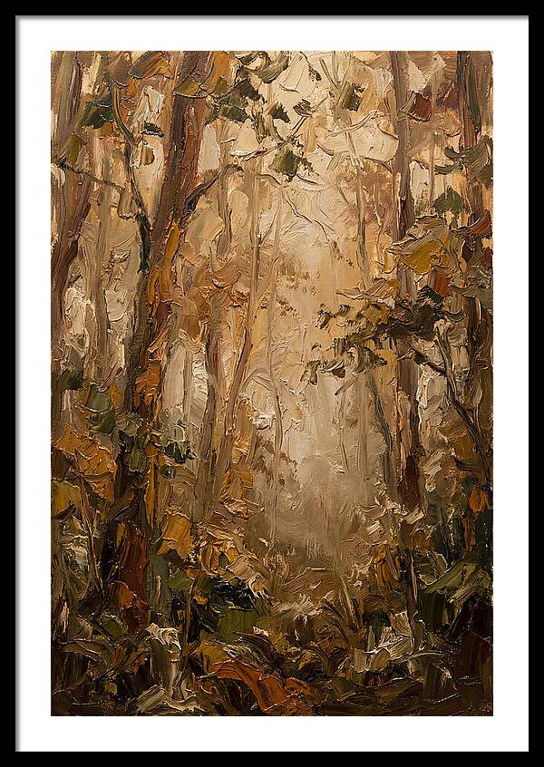 Humid Mist In Forest