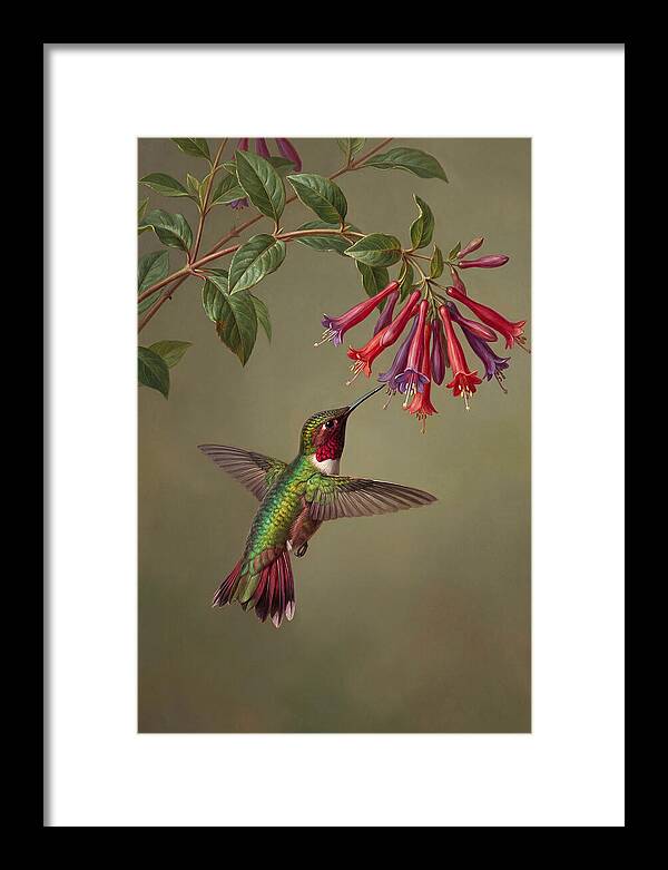 Hummingbird Among Vibrant Blooms
