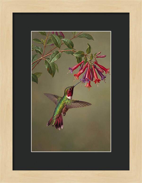 Hummingbird Among Vibrant Blooms