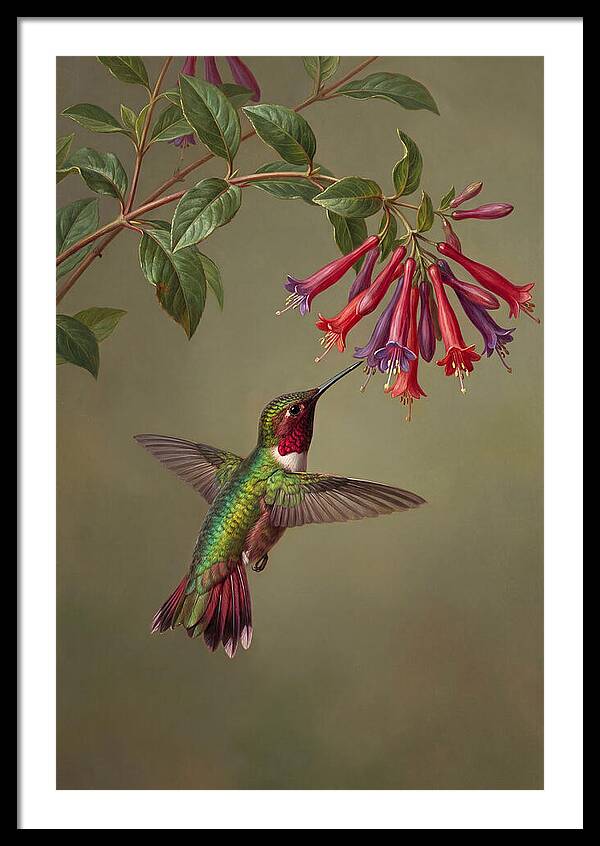 Hummingbird Among Vibrant Blooms