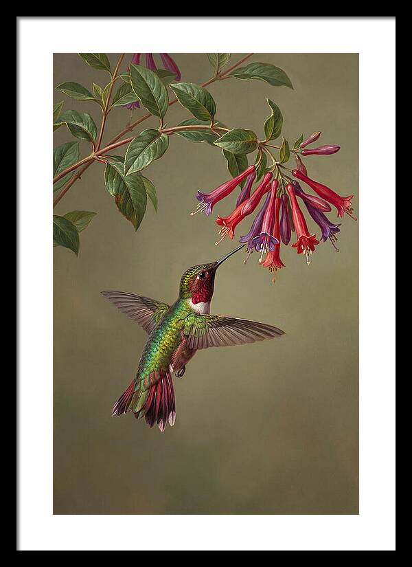 Hummingbird Among Vibrant Blooms