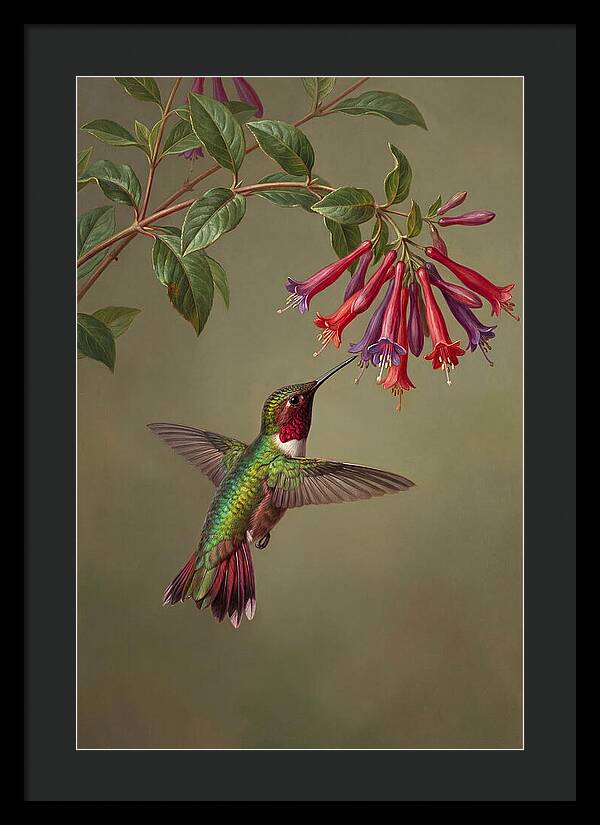 Hummingbird Among Vibrant Blooms