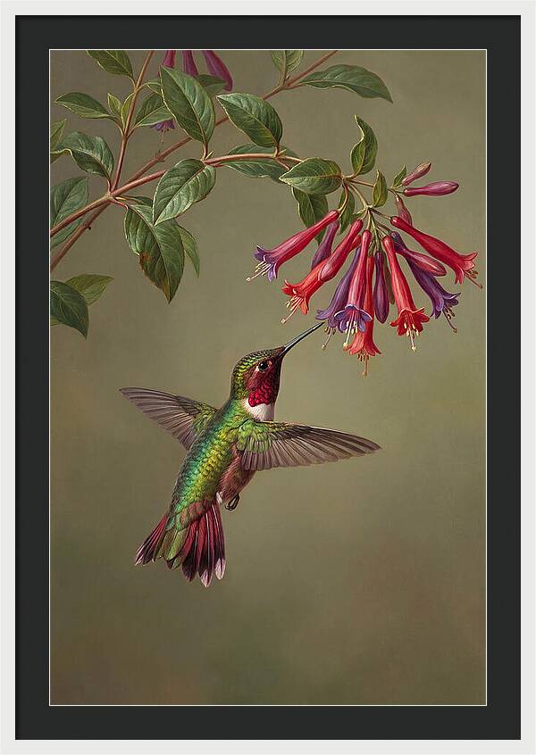 Hummingbird Among Vibrant Blooms
