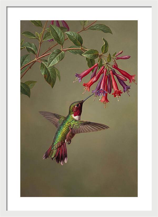 Hummingbird Among Vibrant Blooms