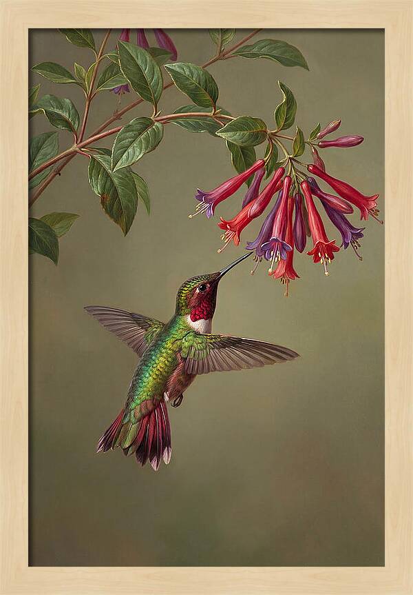 Hummingbird Among Vibrant Blooms