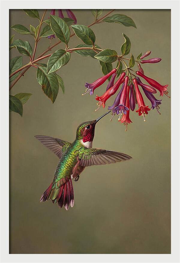 Hummingbird Among Vibrant Blooms