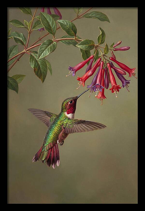 Hummingbird Among Vibrant Blooms
