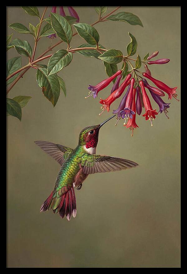 Hummingbird Among Vibrant Blooms