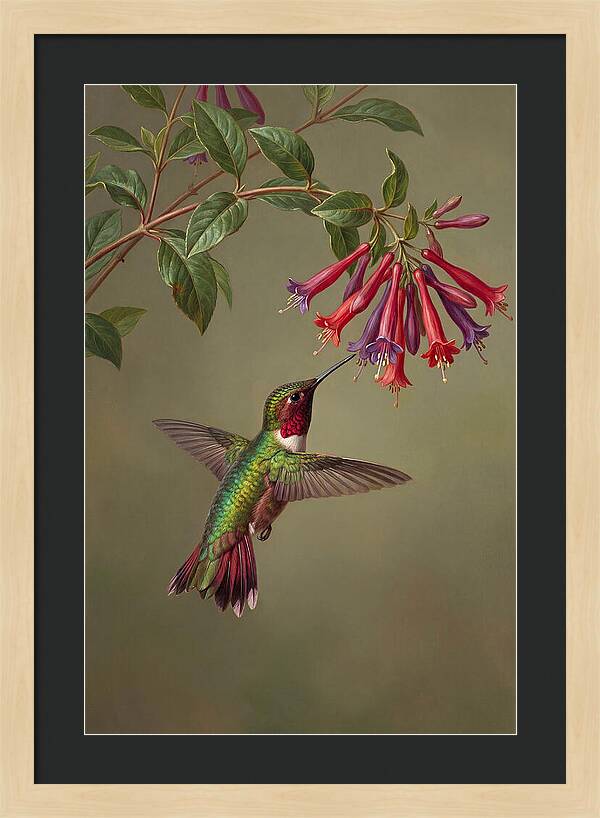 Hummingbird Among Vibrant Blooms