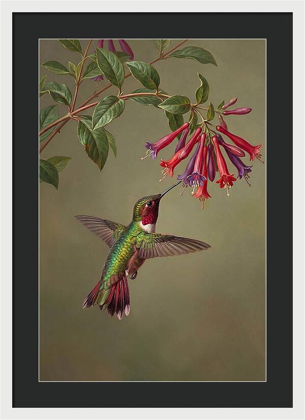 Hummingbird Among Vibrant Blooms