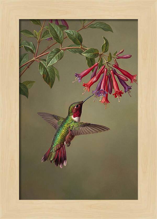 Hummingbird Among Vibrant Blooms