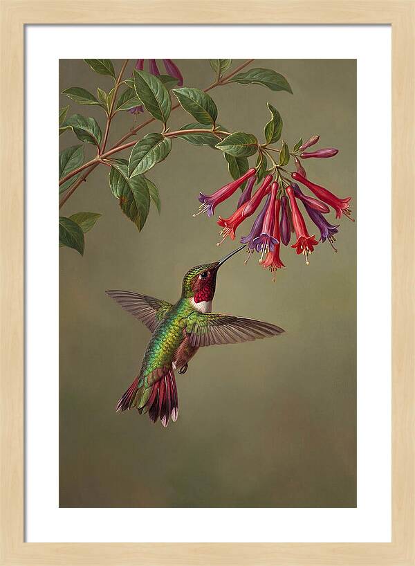 Hummingbird Among Vibrant Blooms