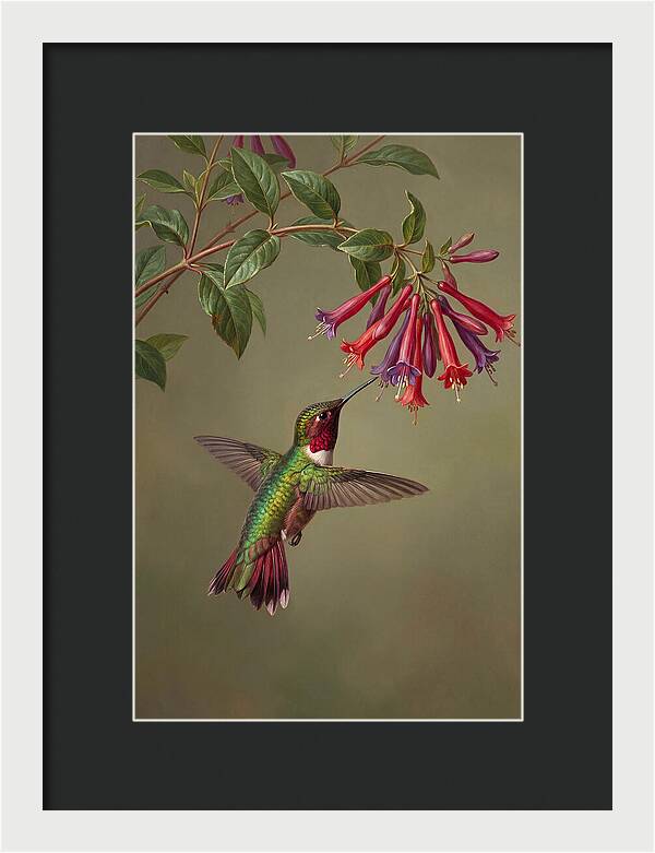Hummingbird Among Vibrant Blooms