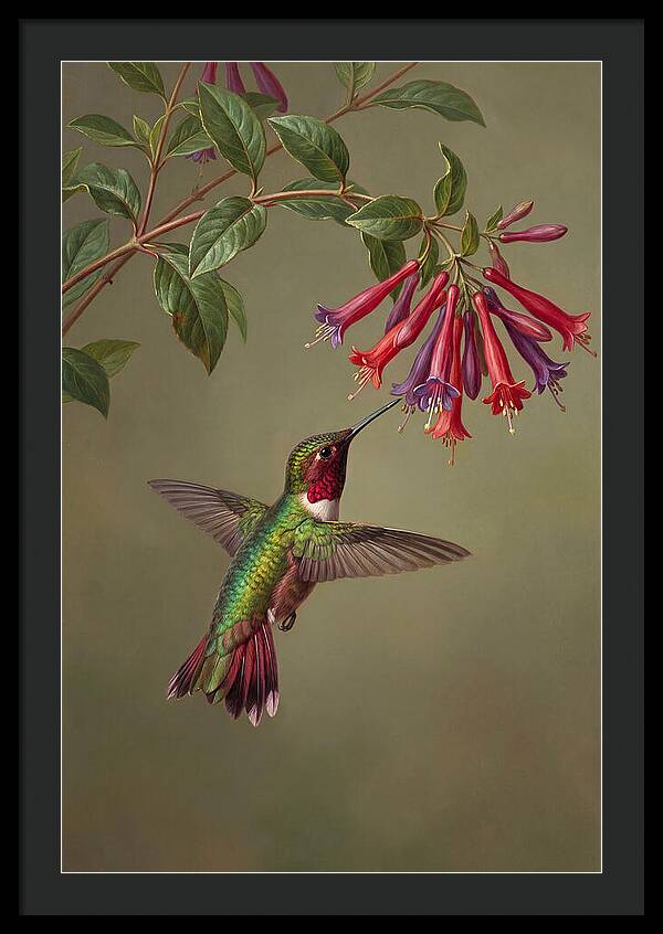 Hummingbird Among Vibrant Blooms