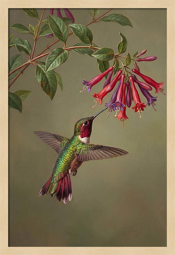 Hummingbird Among Vibrant Blooms