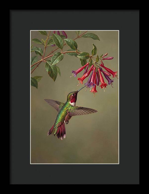 Hummingbird Among Vibrant Blooms