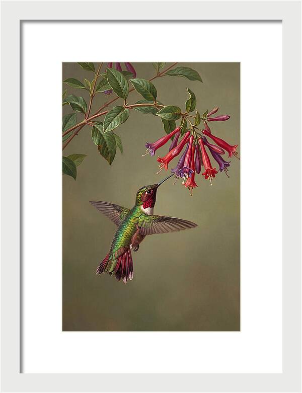 Hummingbird Among Vibrant Blooms