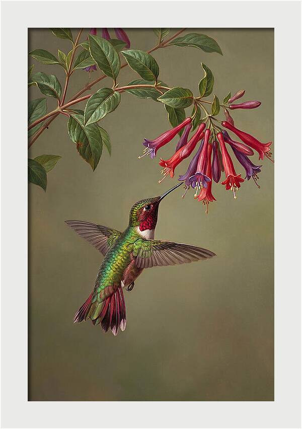 Hummingbird Among Vibrant Blooms
