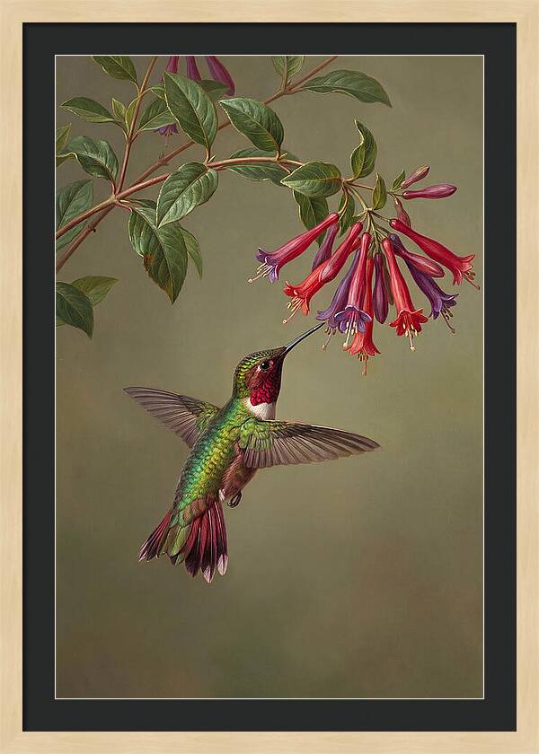 Hummingbird Among Vibrant Blooms