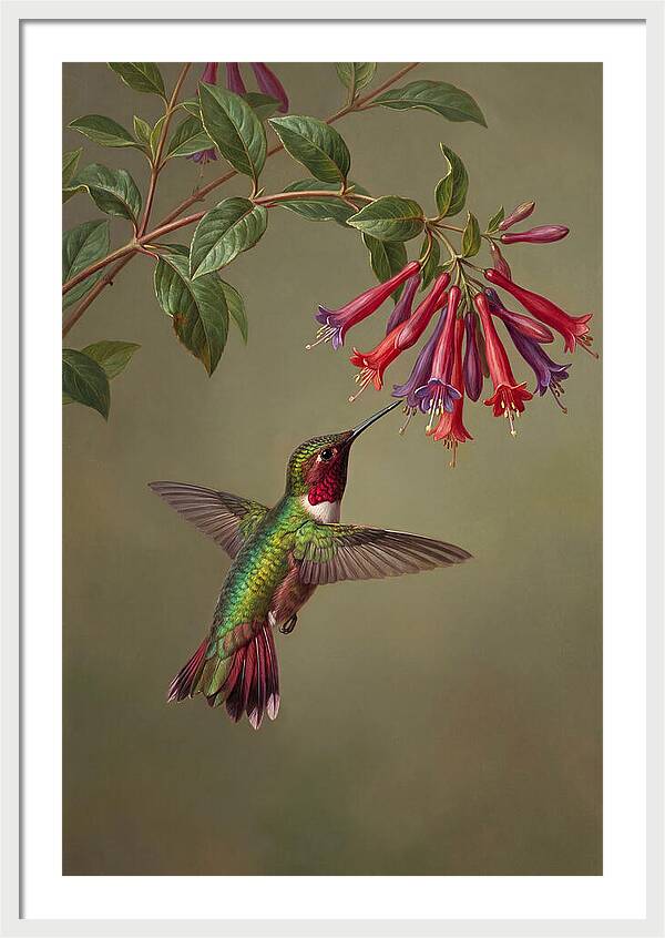 Hummingbird Among Vibrant Blooms