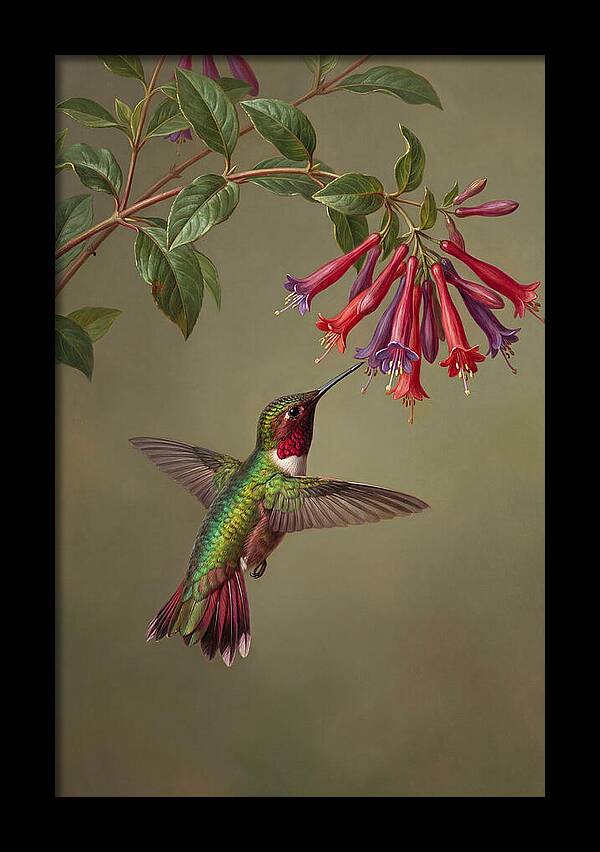 Hummingbird Among Vibrant Blooms