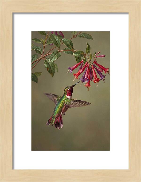 Hummingbird Among Vibrant Blooms