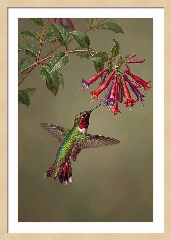 Hummingbird Among Vibrant Blooms