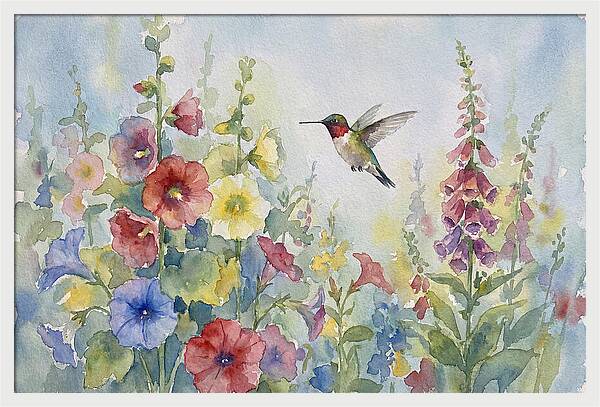 Hummingbird In Bloom