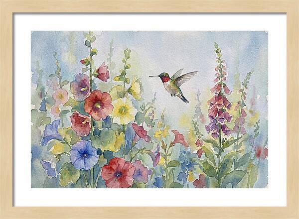 Hummingbird In Bloom