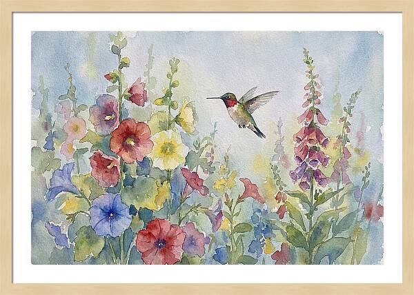 Hummingbird In Bloom