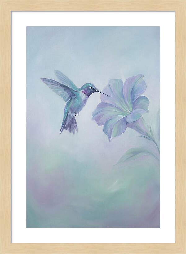Hummingbird Near Blooming Flower