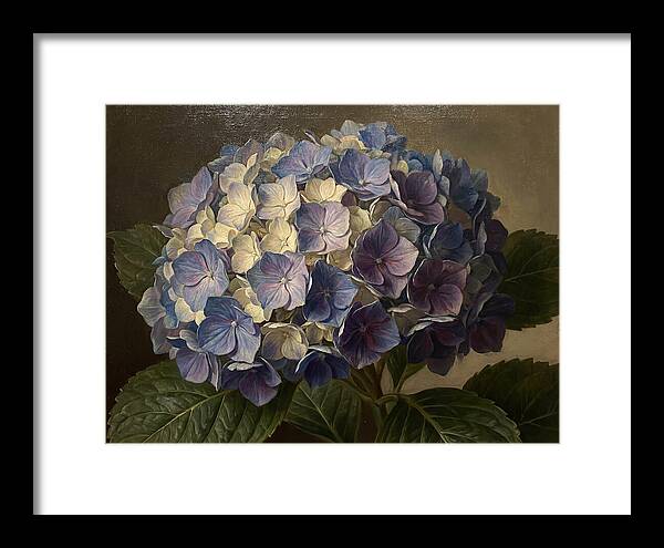 Hydrangea Bloom Serenity