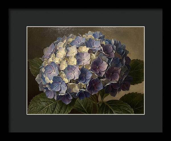 Hydrangea Bloom Serenity