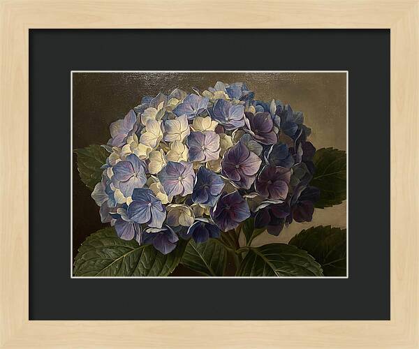 Hydrangea Bloom Serenity