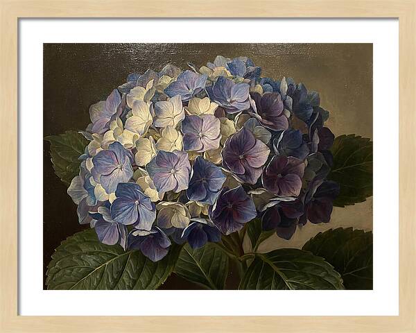 Hydrangea Bloom Serenity