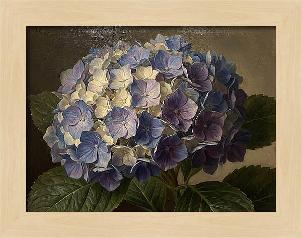 Hydrangea Bloom Serenity