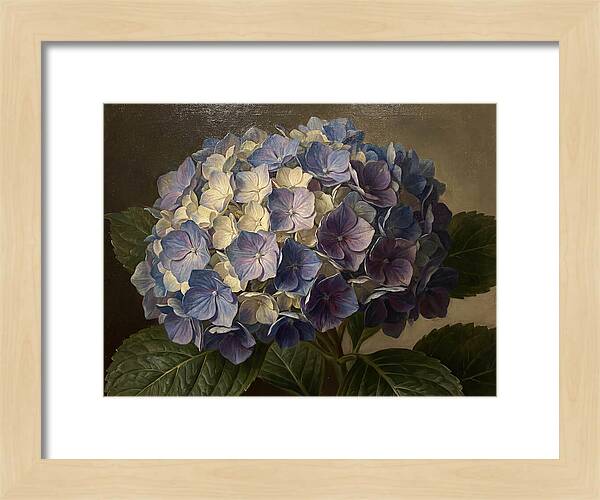 Hydrangea Bloom Serenity