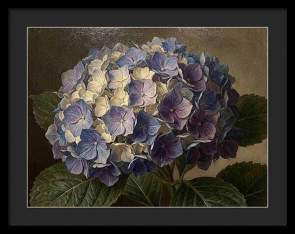 Hydrangea Bloom Serenity