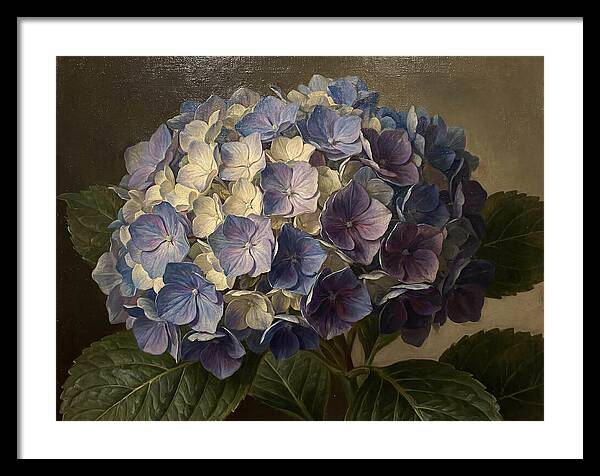 Hydrangea Bloom Serenity