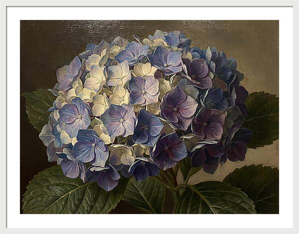 Hydrangea Bloom Serenity