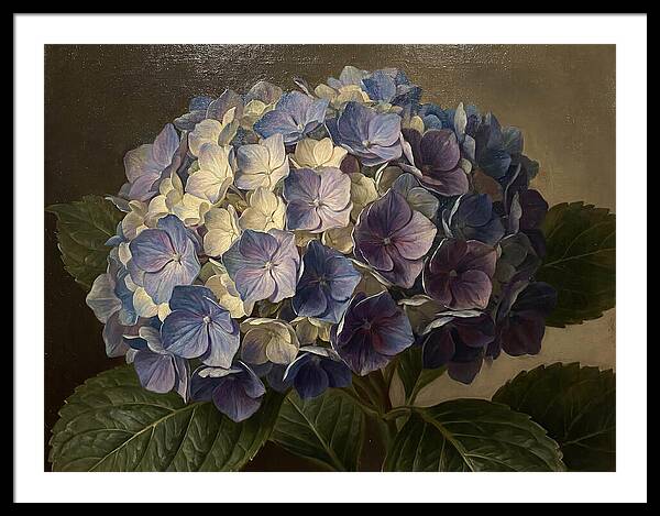 Hydrangea Bloom Serenity