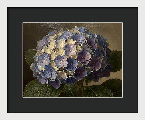 Hydrangea Bloom Serenity