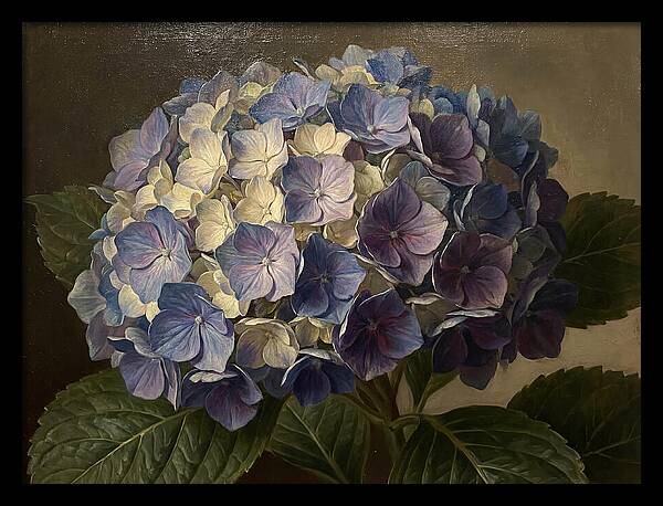 Hydrangea Bloom Serenity