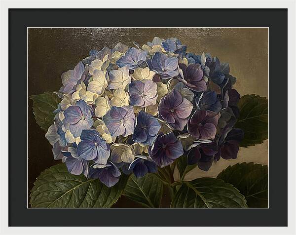 Hydrangea Bloom Serenity