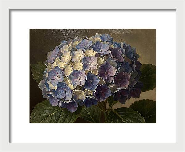 Hydrangea Bloom Serenity