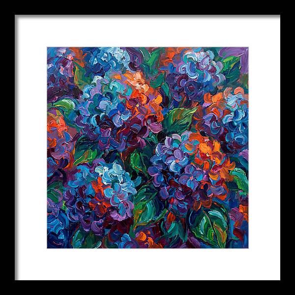 Hydrangea Blooms In Color